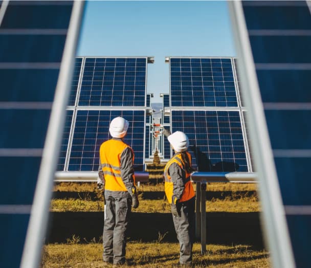 Solar energy workers with panels